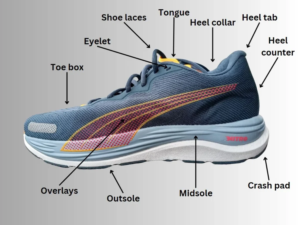 Parts of a Shoe